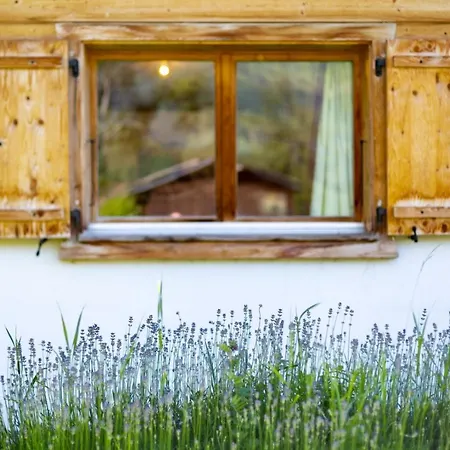 Paradise Awaits In The Mountains Of La Tzoumaz