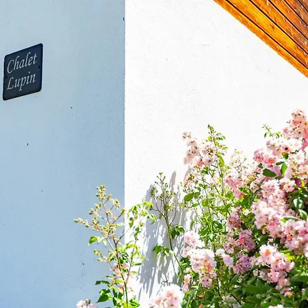 Paradise Awaits In The Mountains Of * La Tzoumaz